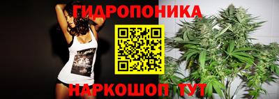 Альфа ПВП Тверь