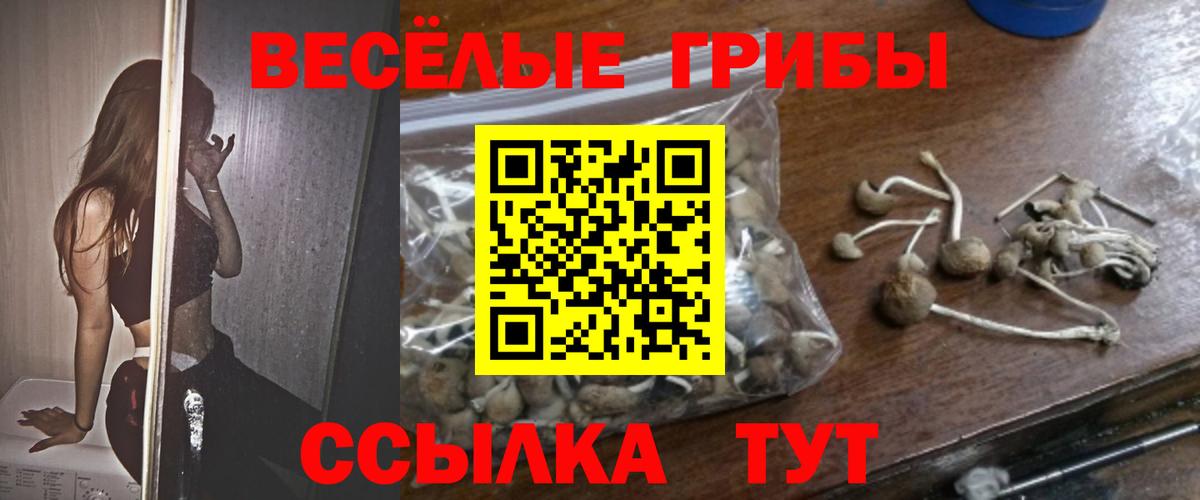 Галлюциногенные грибы мицелий Моздок