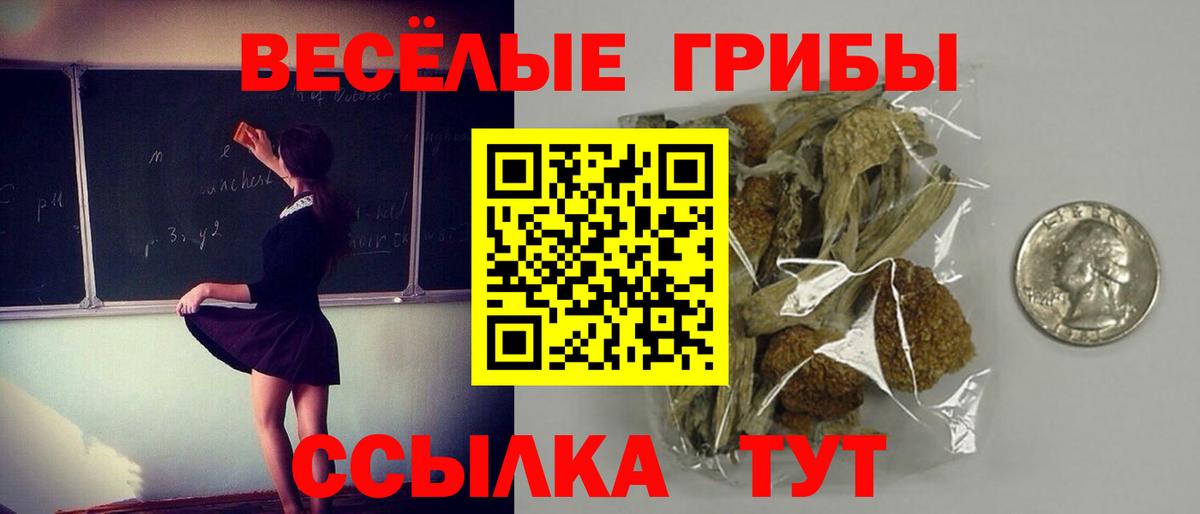 Моздок  Псилоцибиновые грибы ЛСД  Вход с VPN 